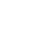 Fully Customizable Icon